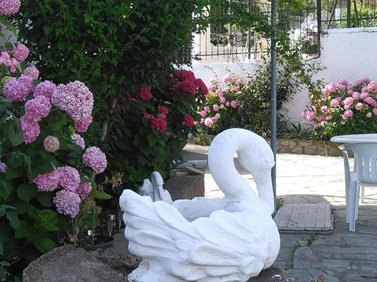 Aragorn Paradise Garden Мораитика Екстериор снимка
